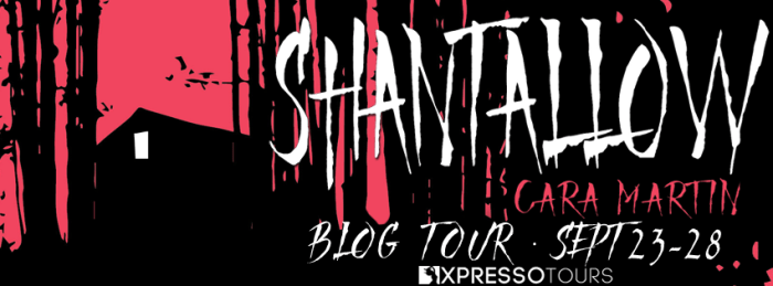 ShantallowTourBanner-1
