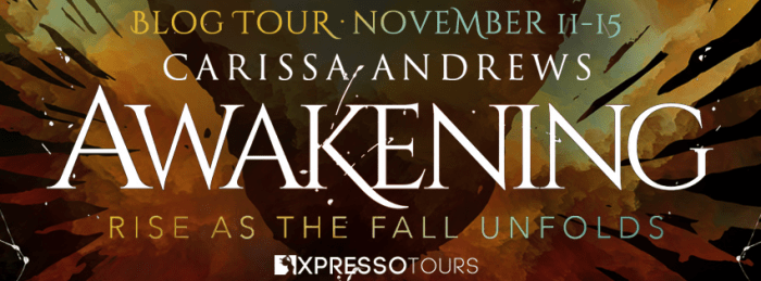 AwakeningTourBanner