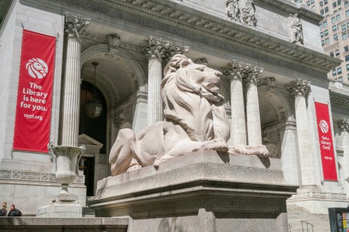nypl lion